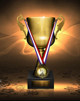 榮譽(yù)資質(zhì)